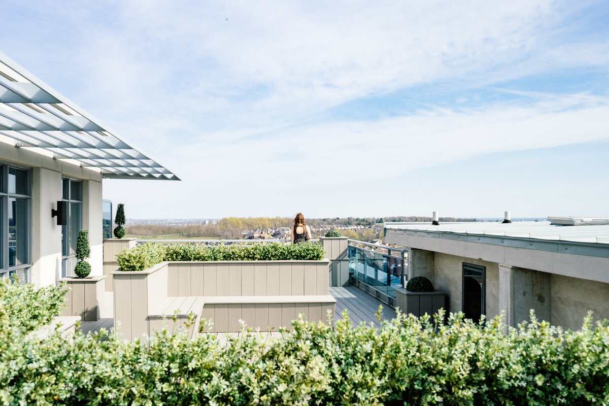 Rooftop Garden: Merangkai Keindahan Alam di Atas Atap Rumah Ilustrasi Taman Atap (Scott Webb/Unsplash)